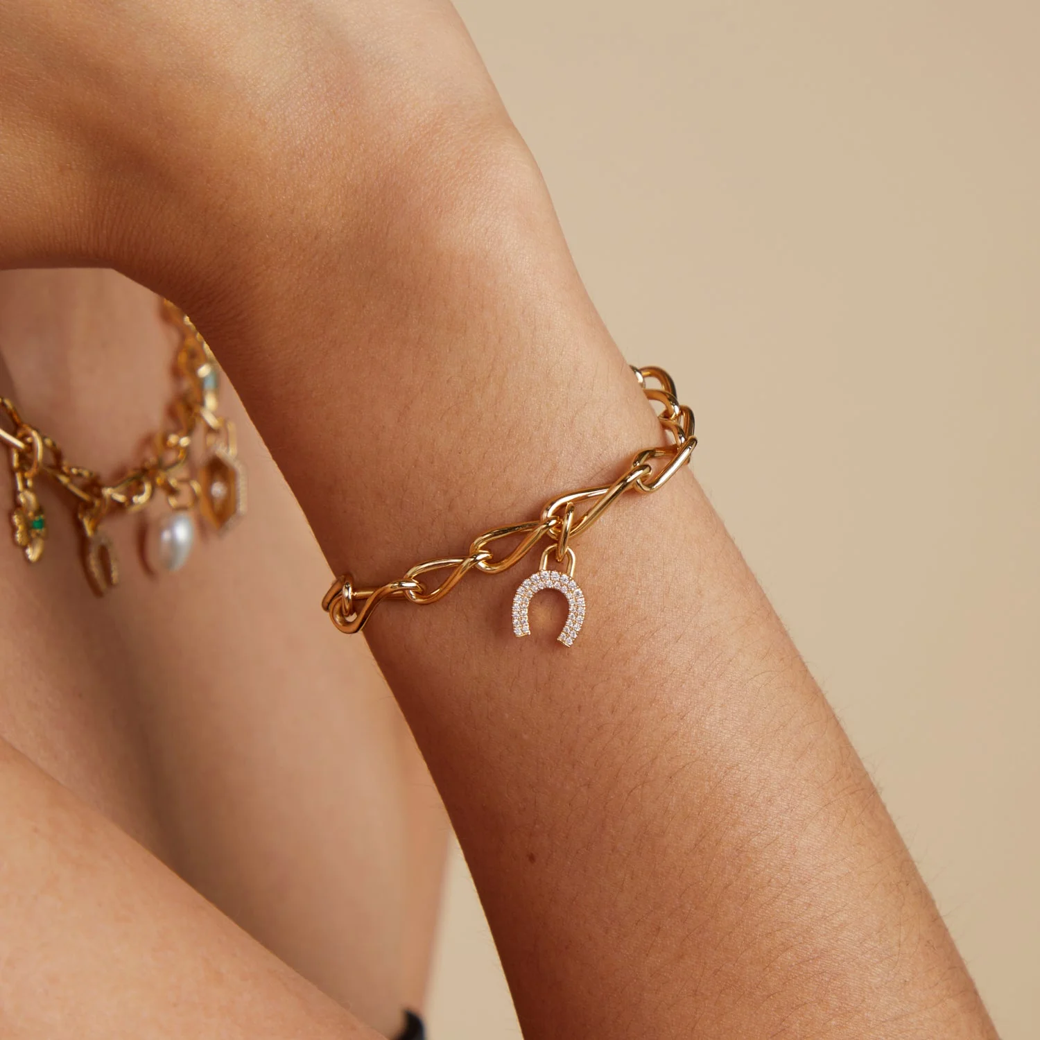 Horseshoe Clip Charm in Gold - Image 6