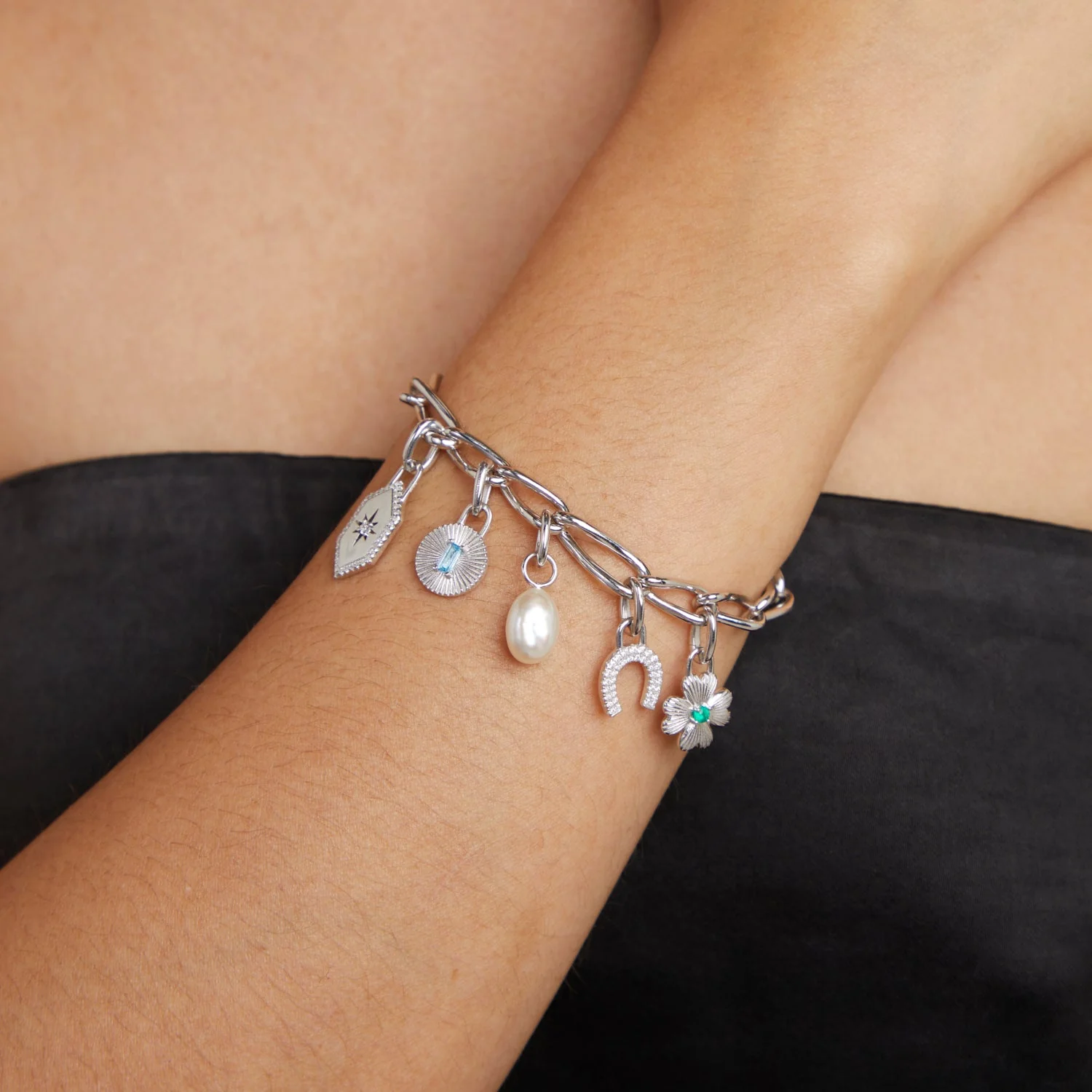 Horseshoe Clip Charm in Silver - Image 5